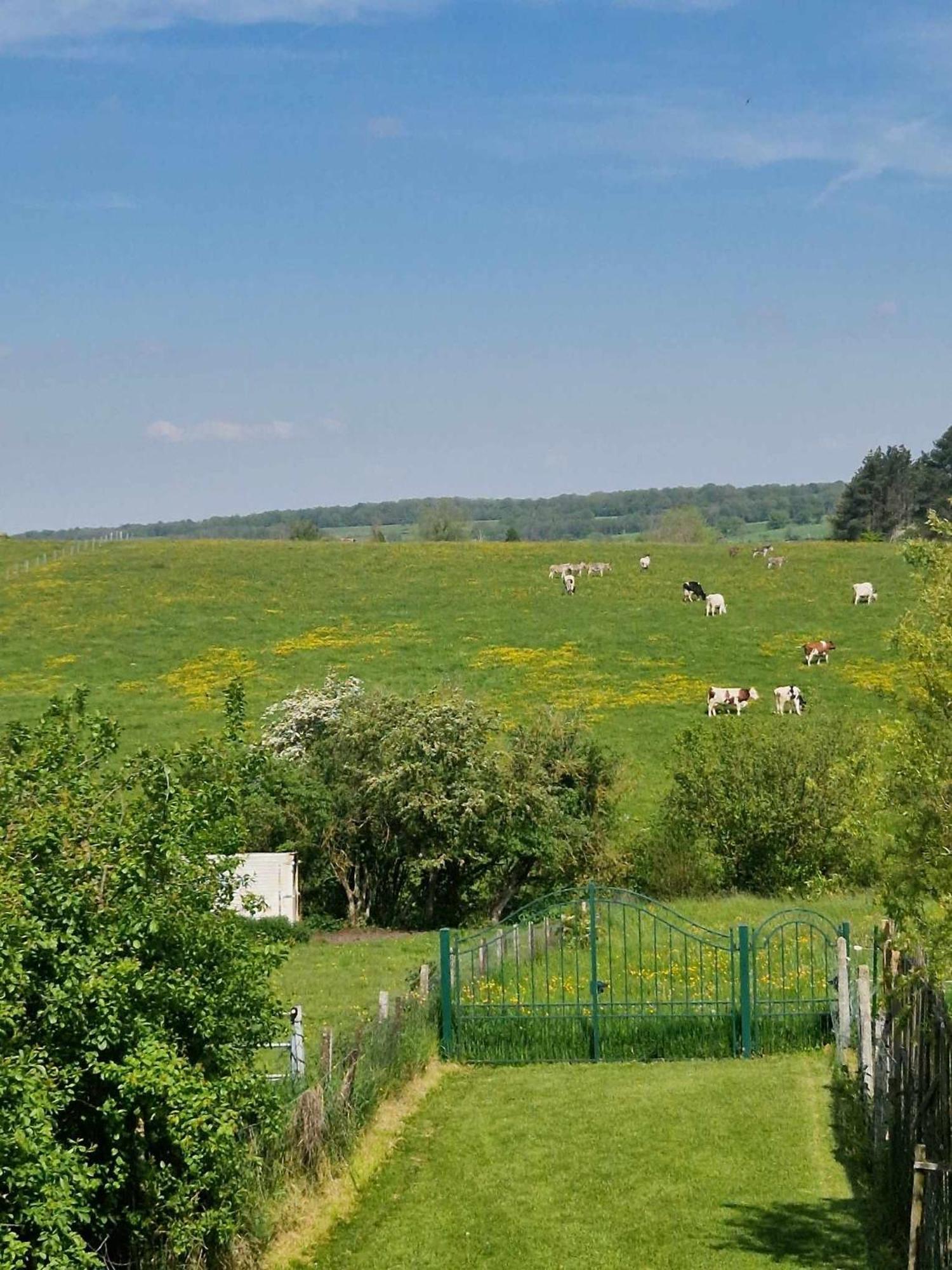 Gites Paille-Foin Cerfontaine Exterior photo